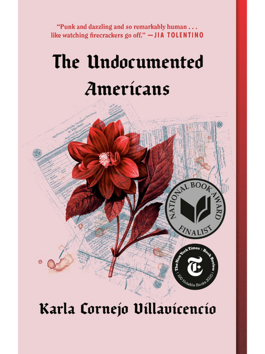 The Undocumented Americans